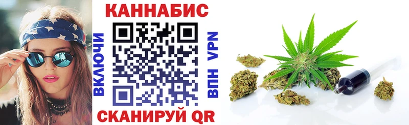 APVP Дмитровск