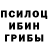 Галлюциногенные грибы Psilocybine cubensis Emrah_C