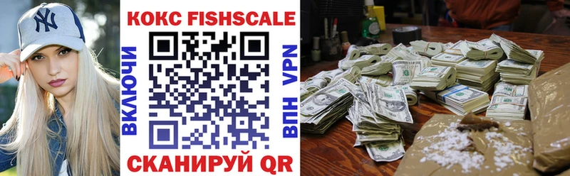 COCAIN Fish Scale  купить наркотики сайты  нарко площадка состав  Дмитровск 