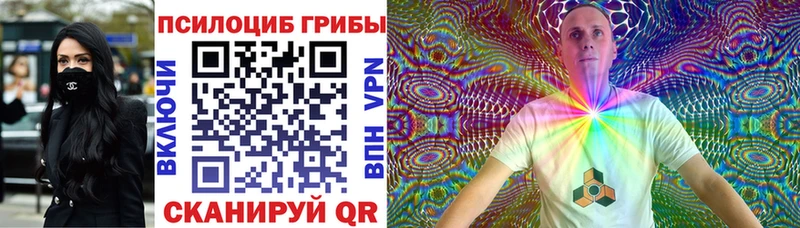 площадка как зайти  Дмитровск  Галлюциногенные грибы Magic Shrooms  что такое наркотик 